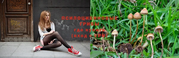 спиды Пестово