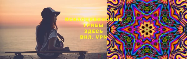 тгк Арсеньев