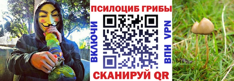 Псилоцибиновые грибы Cubensis  где можно купить   Углегорск 